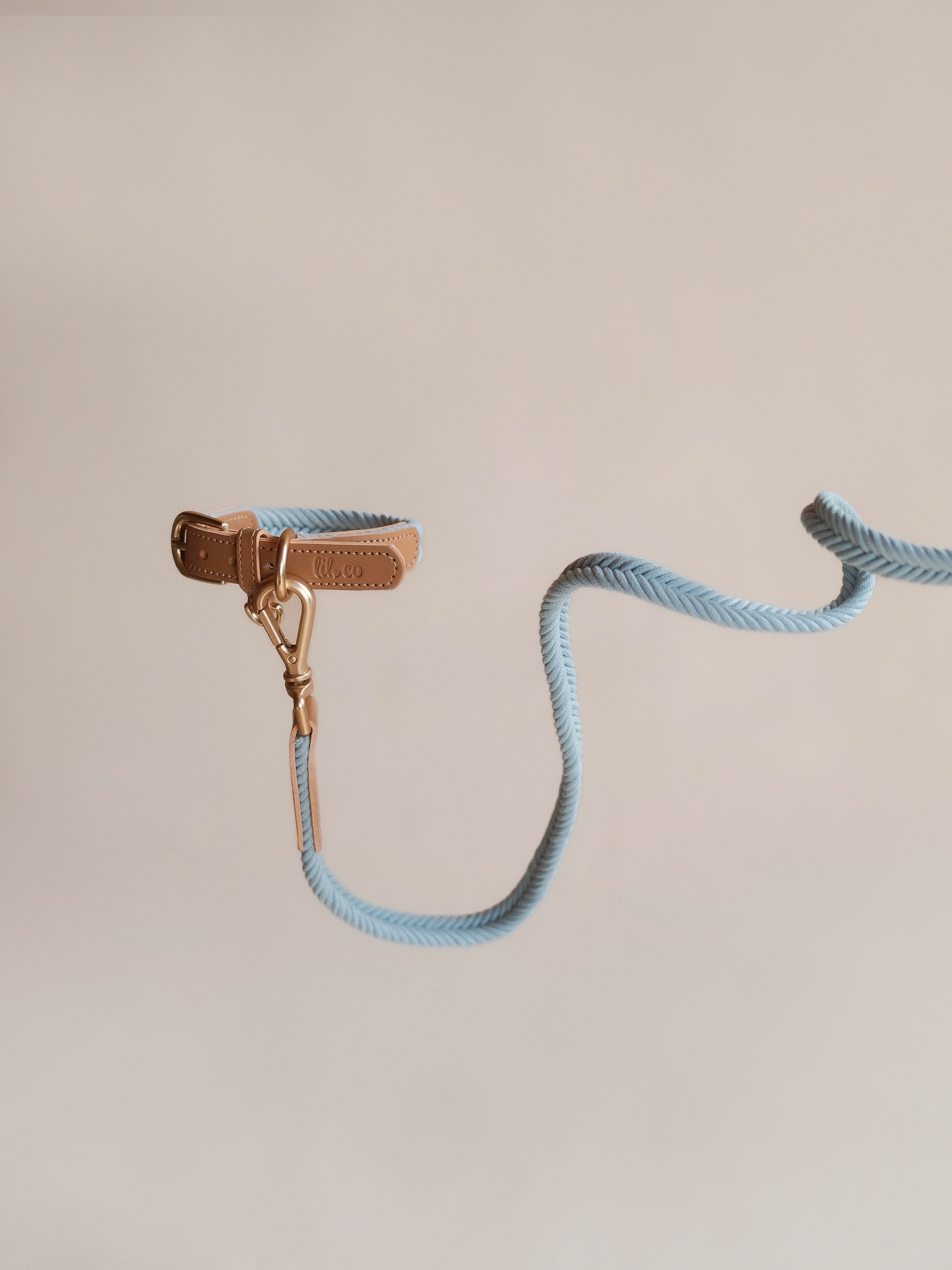 Lilco Braided-Leash | Seabreeze
