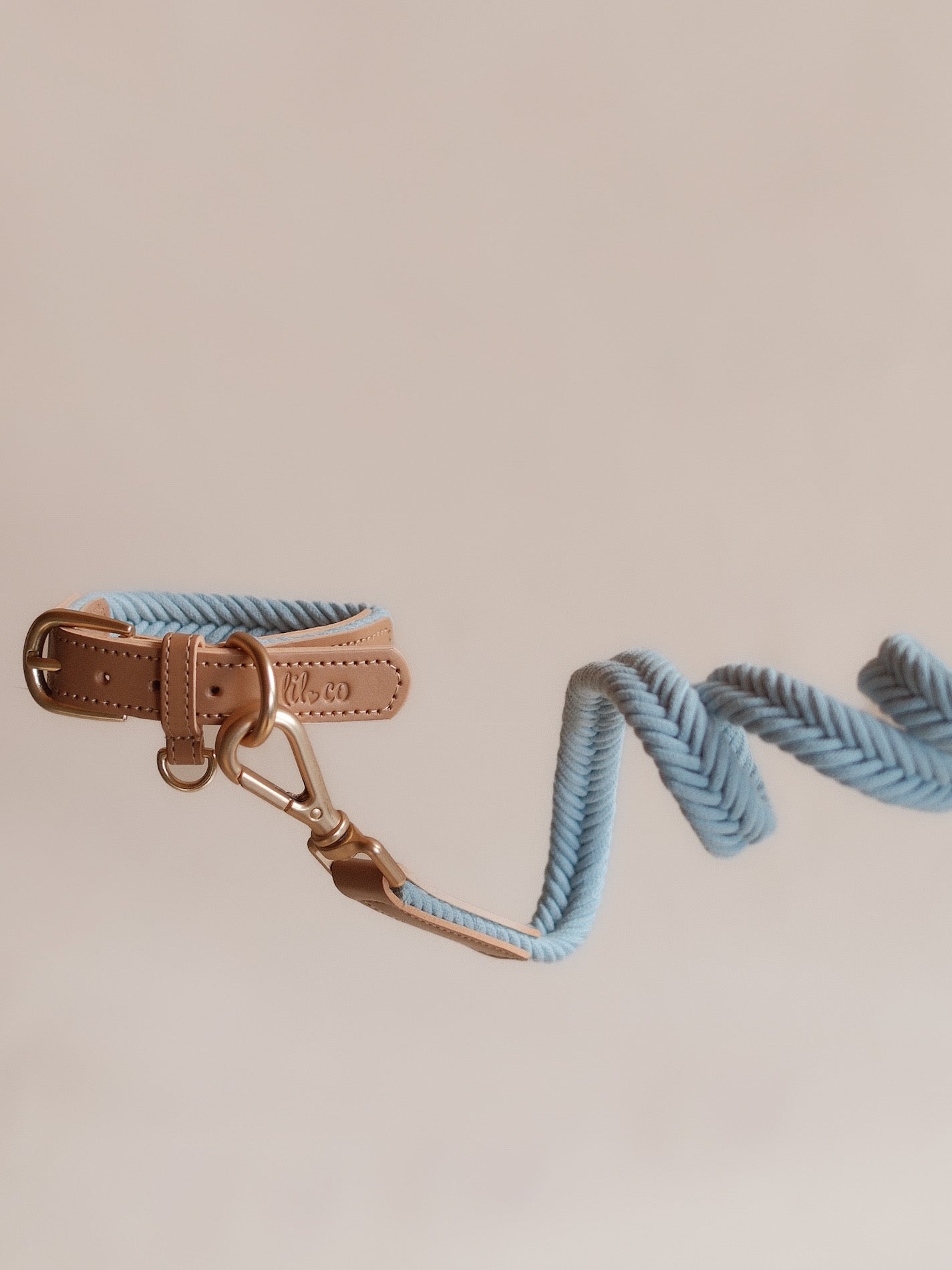 Lilco Braided-Leash | Seabreeze