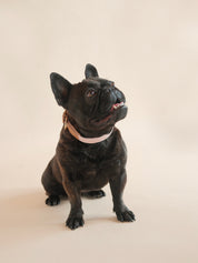 Lilco Braided-Collar | Sunblush