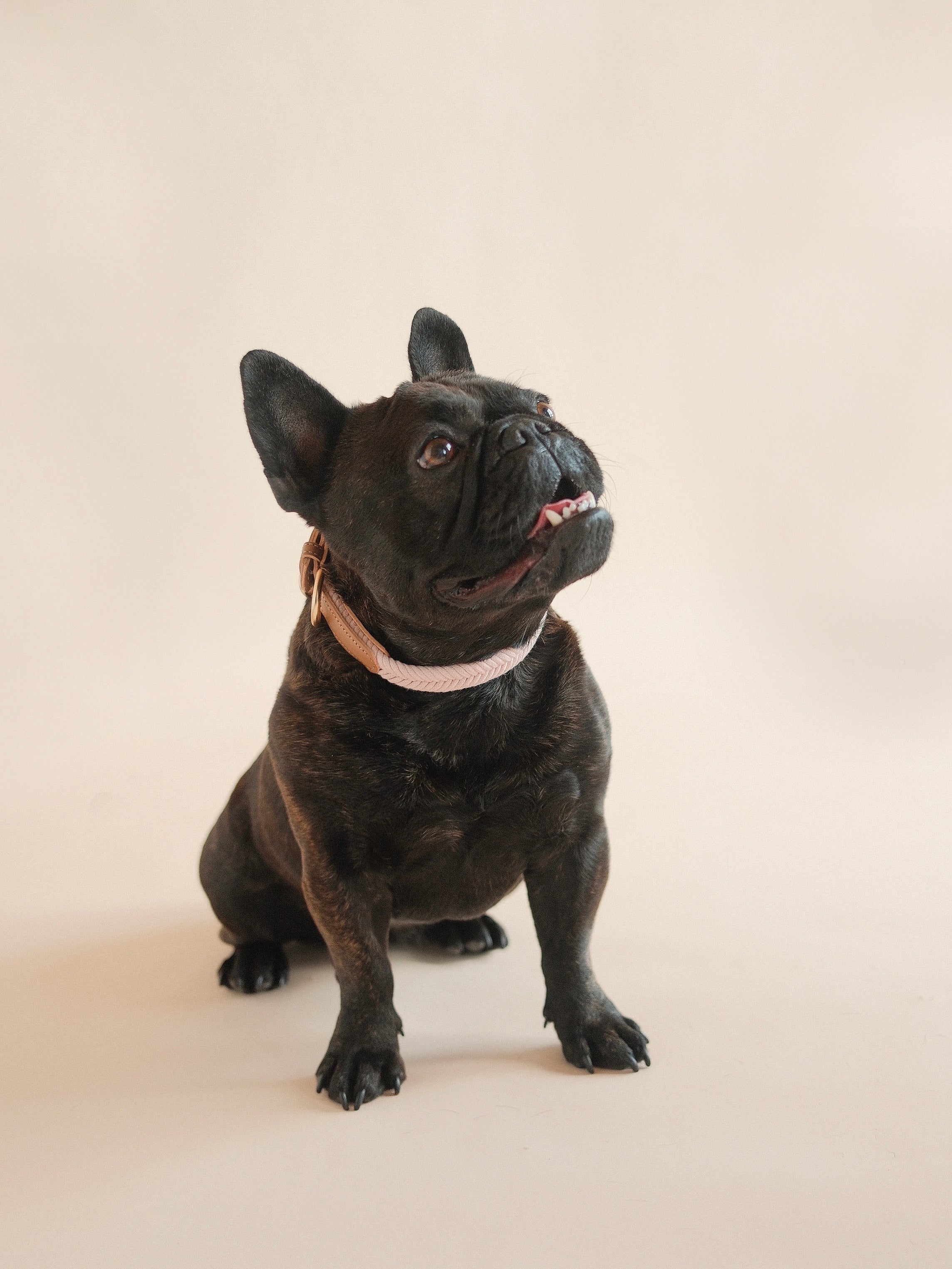 Lilco Braided-Collar | Sunblush