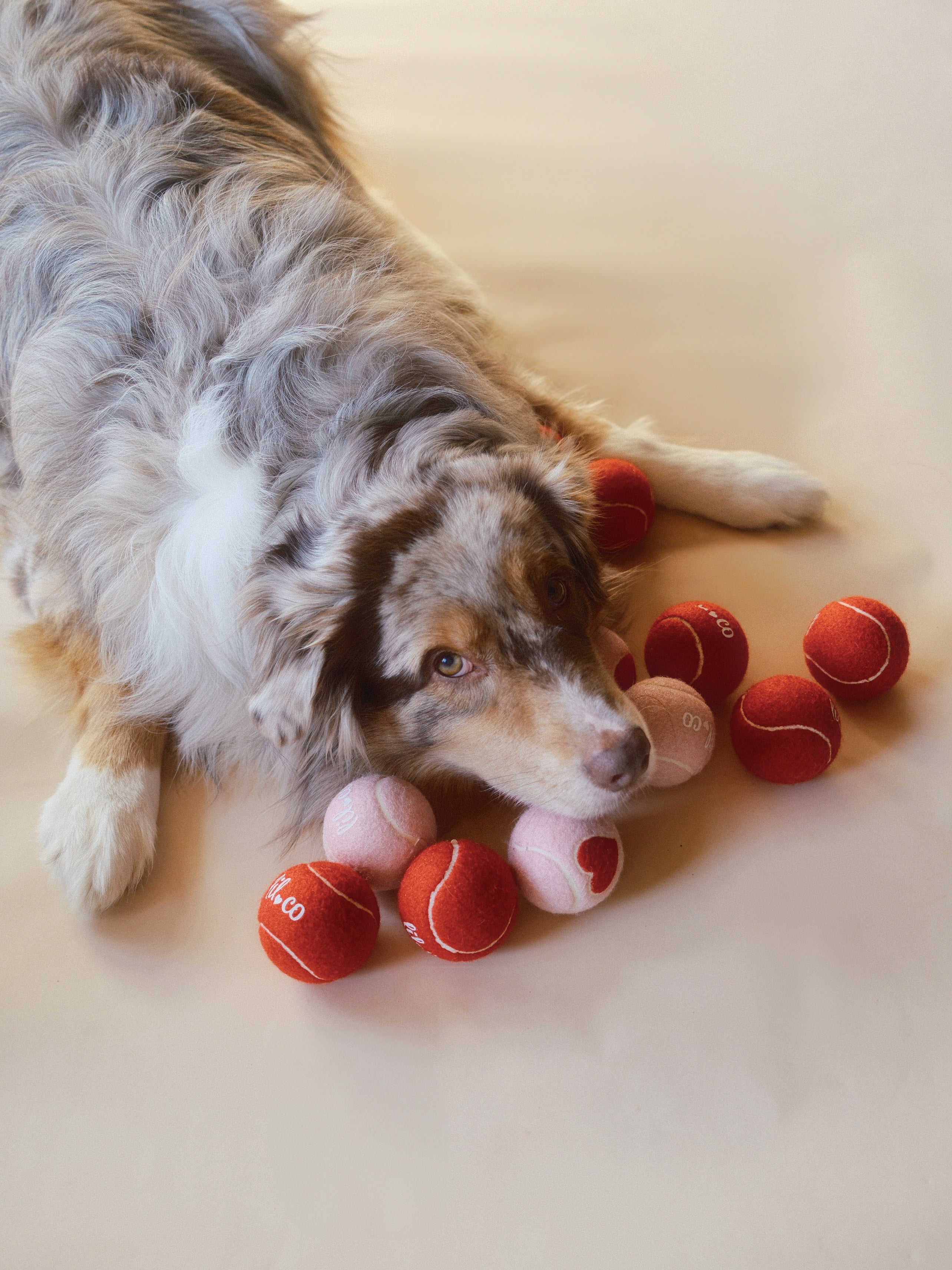 Lilco Tennis Ball | Limited The Amour Edit Special