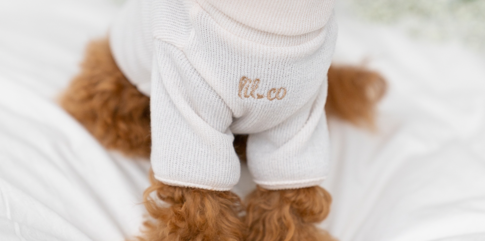 Reducing Your Pet's Carbon Pawprint: Sustainable and Ethical Dog Clothing