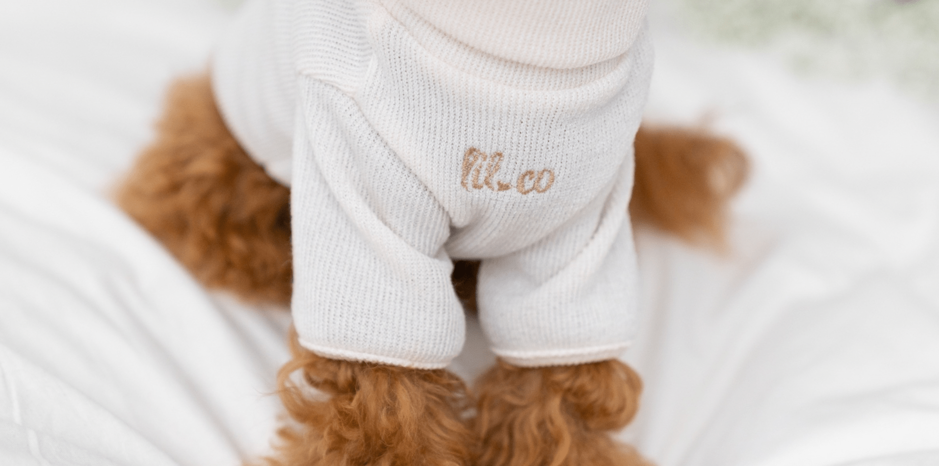 Reducing Your Pet's Carbon Pawprint: Sustainable and Ethical Dog Clothing - Lilco