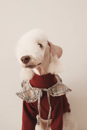 The Heirloom Turtleneck