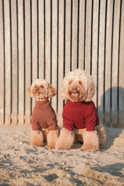 The Heirloom Turtleneck