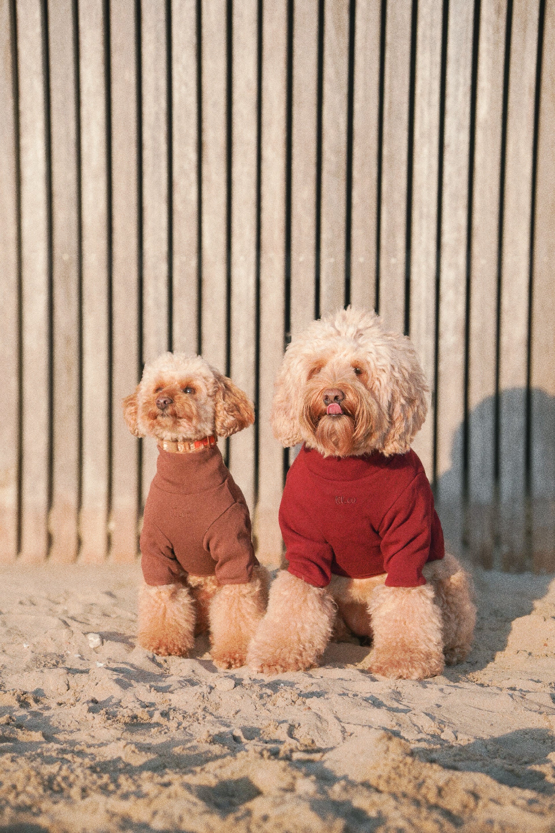 The Heirloom Turtleneck