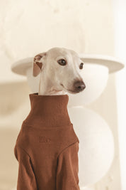 The Heirloom Turtleneck