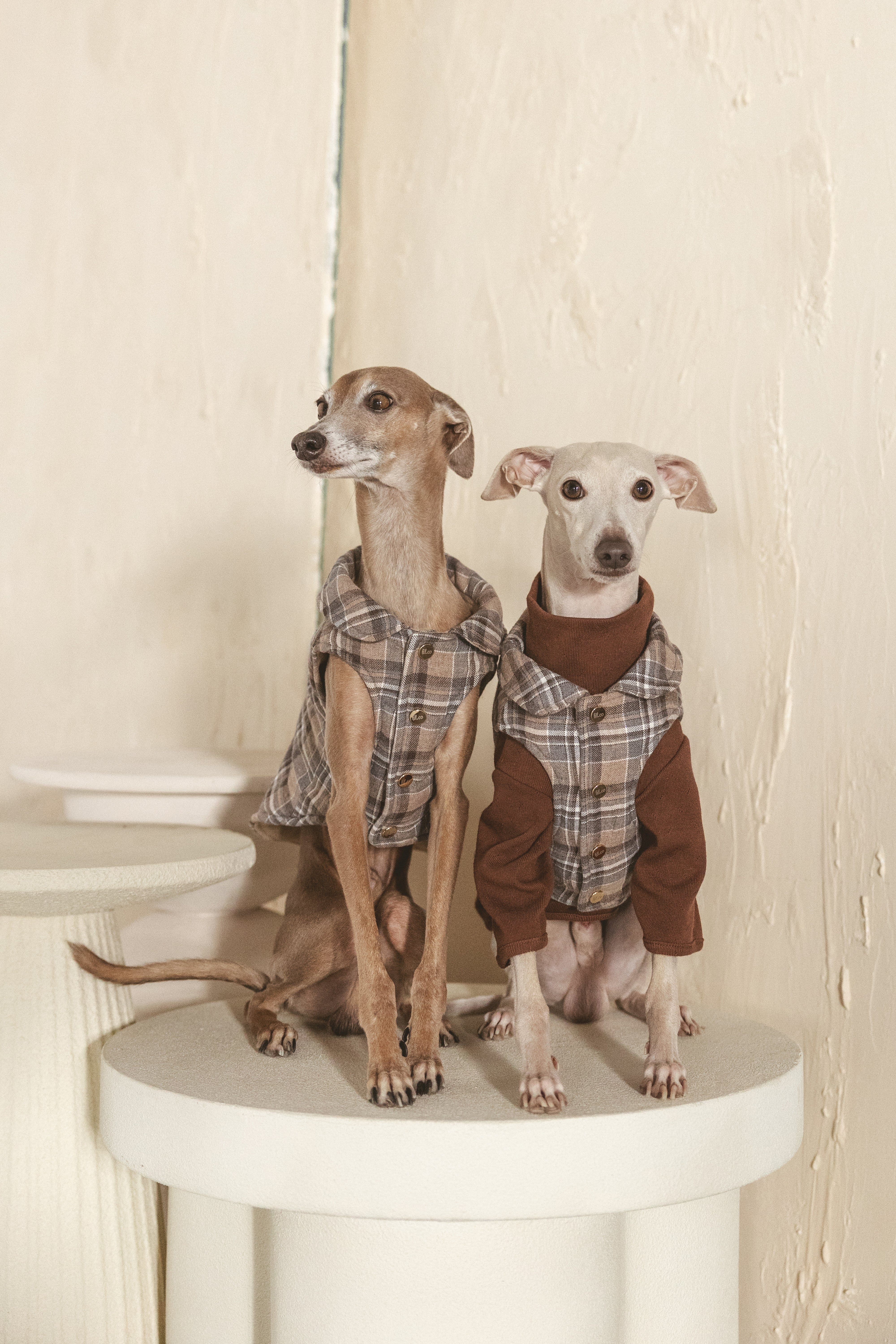 Roux Vest – Lilco