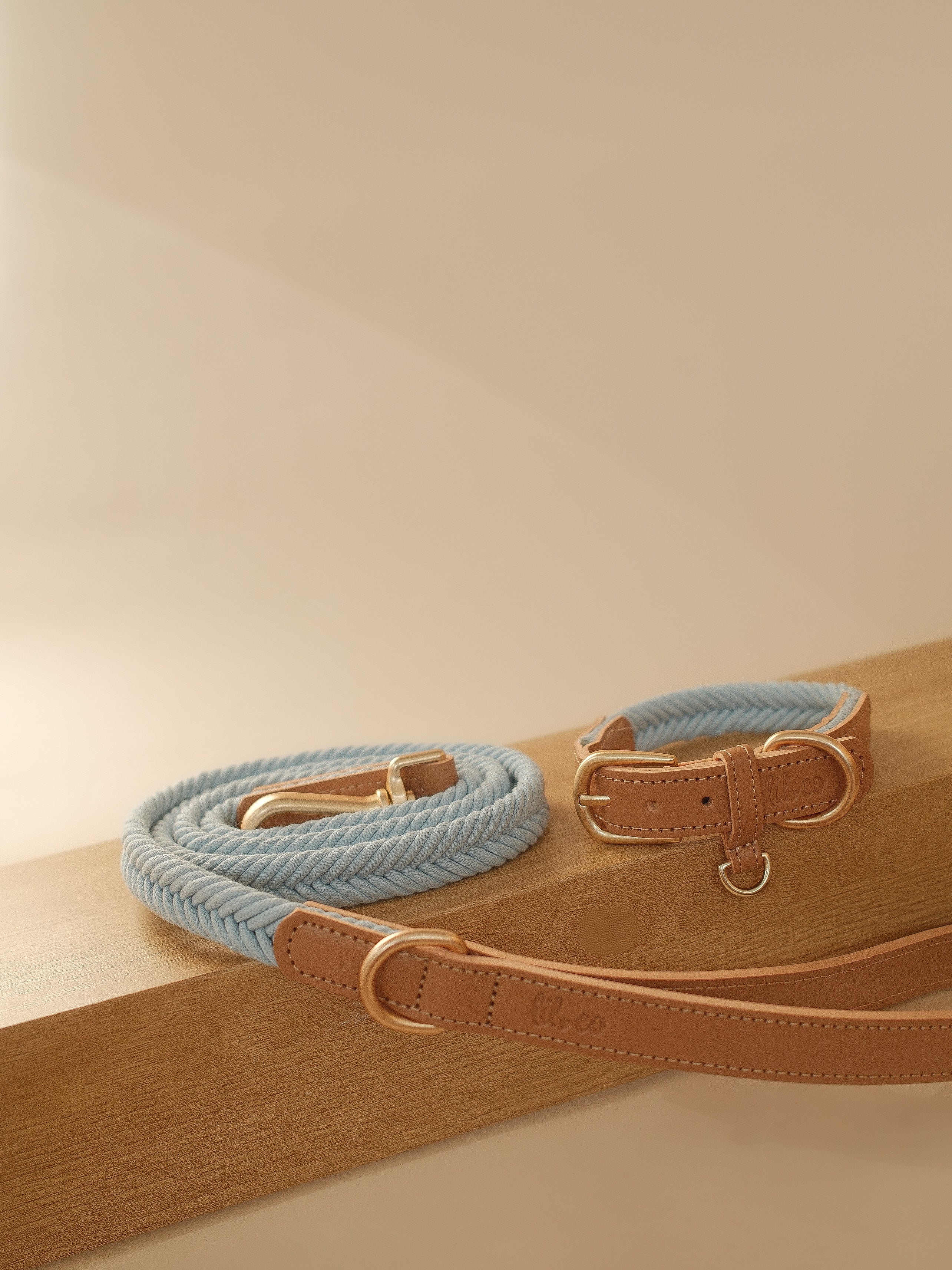 Lilco Braided-Leash | Seabreeze