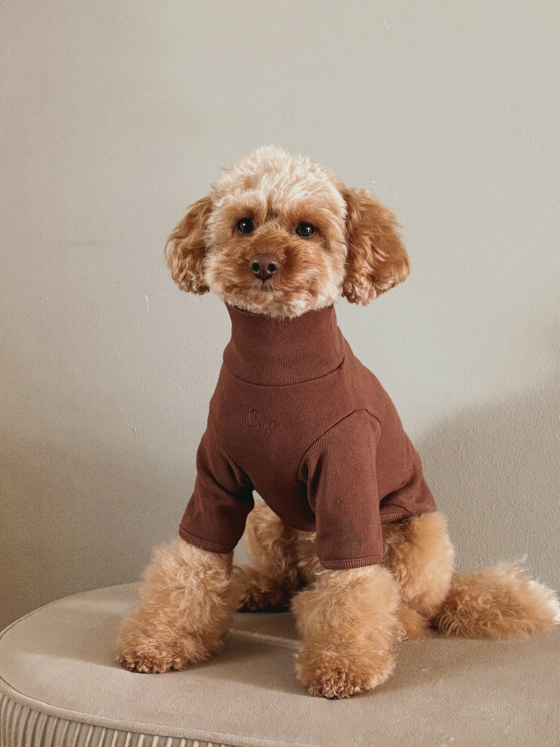 The Heirloom Turtleneck