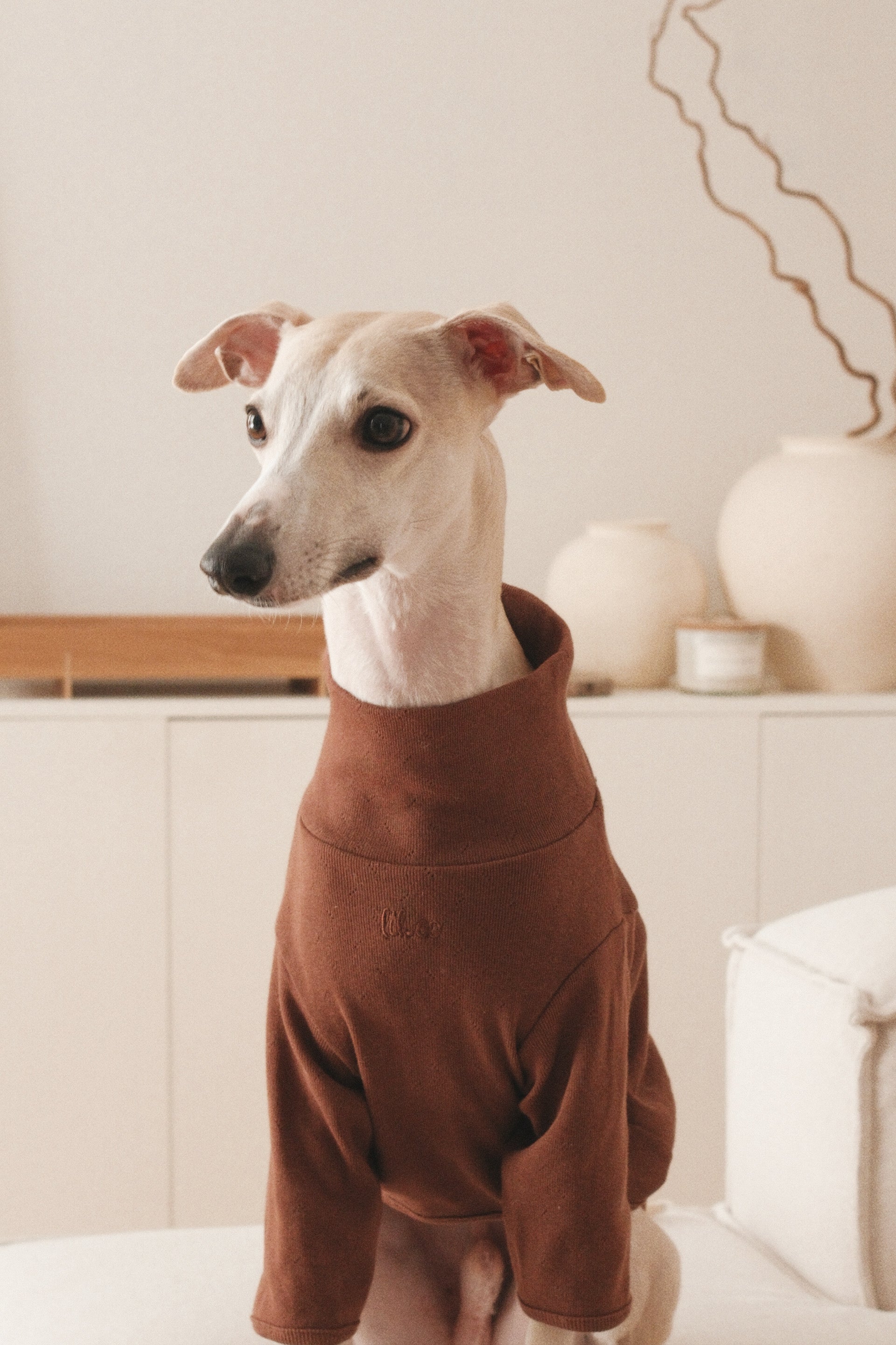 The Heirloom Turtleneck