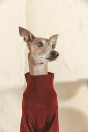 The Heirloom Turtleneck