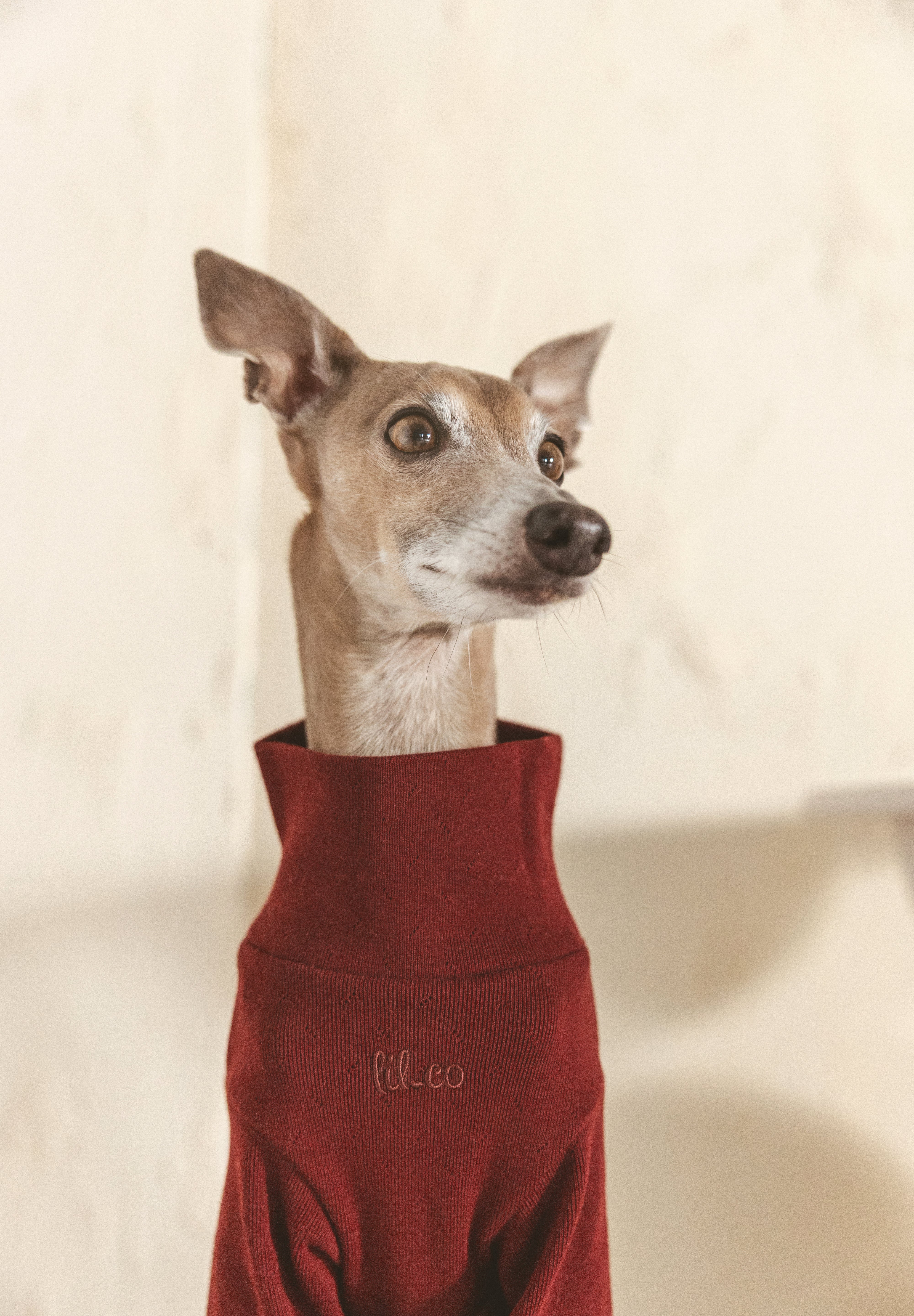 The Heirloom Turtleneck