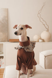 The Heirloom Turtleneck