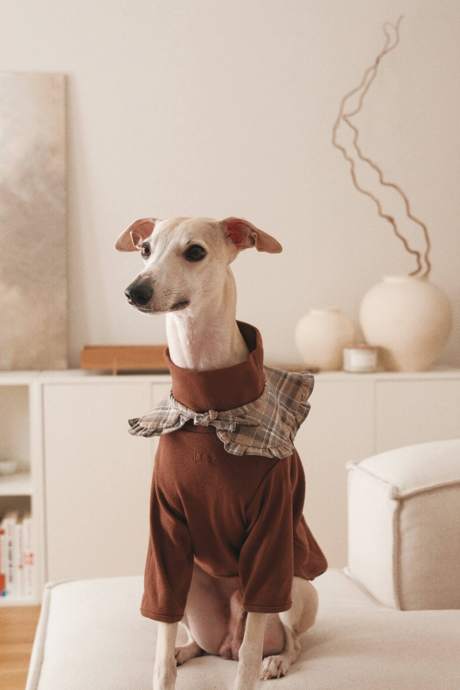 The Heirloom Turtleneck