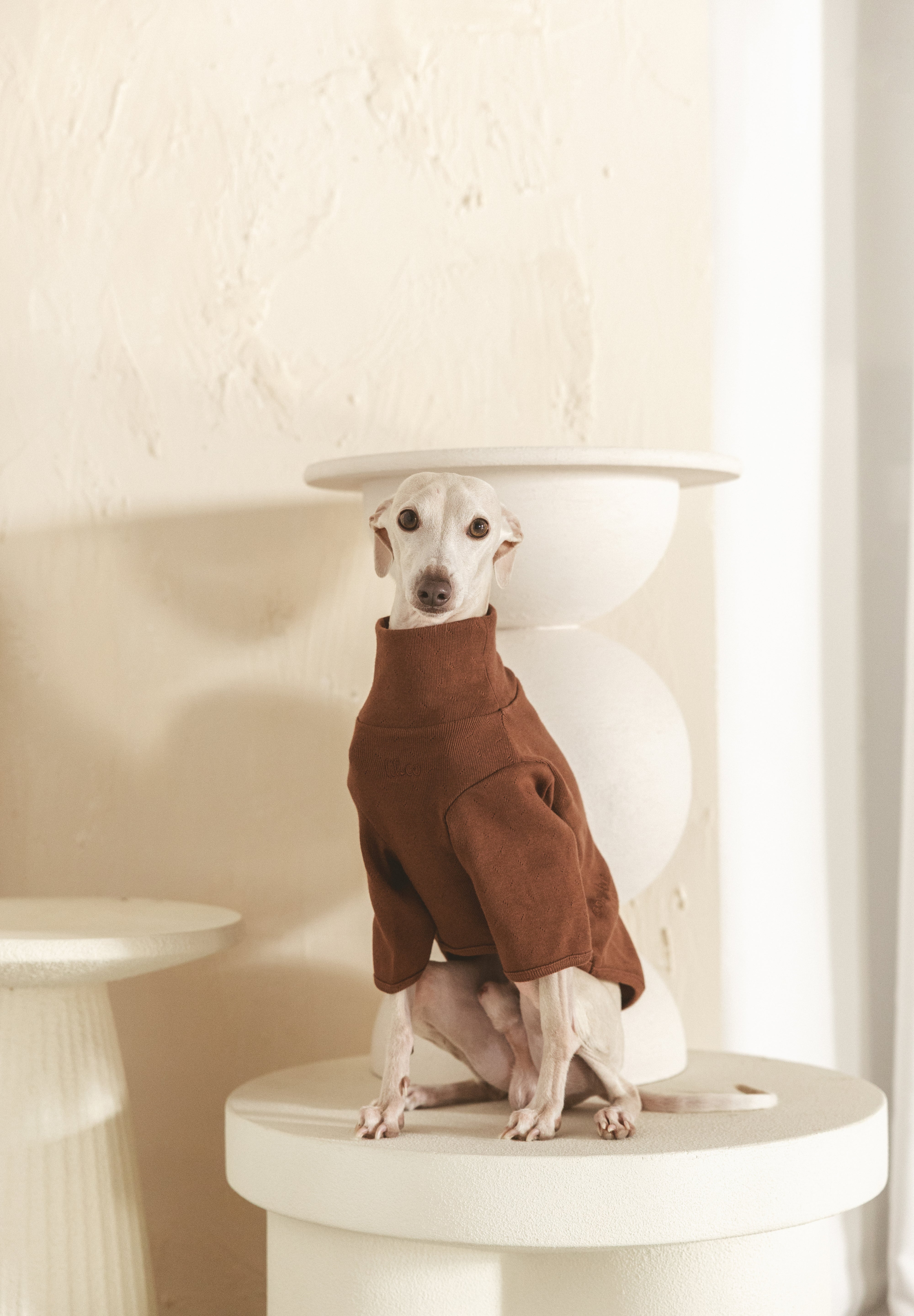 The Heirloom Turtleneck