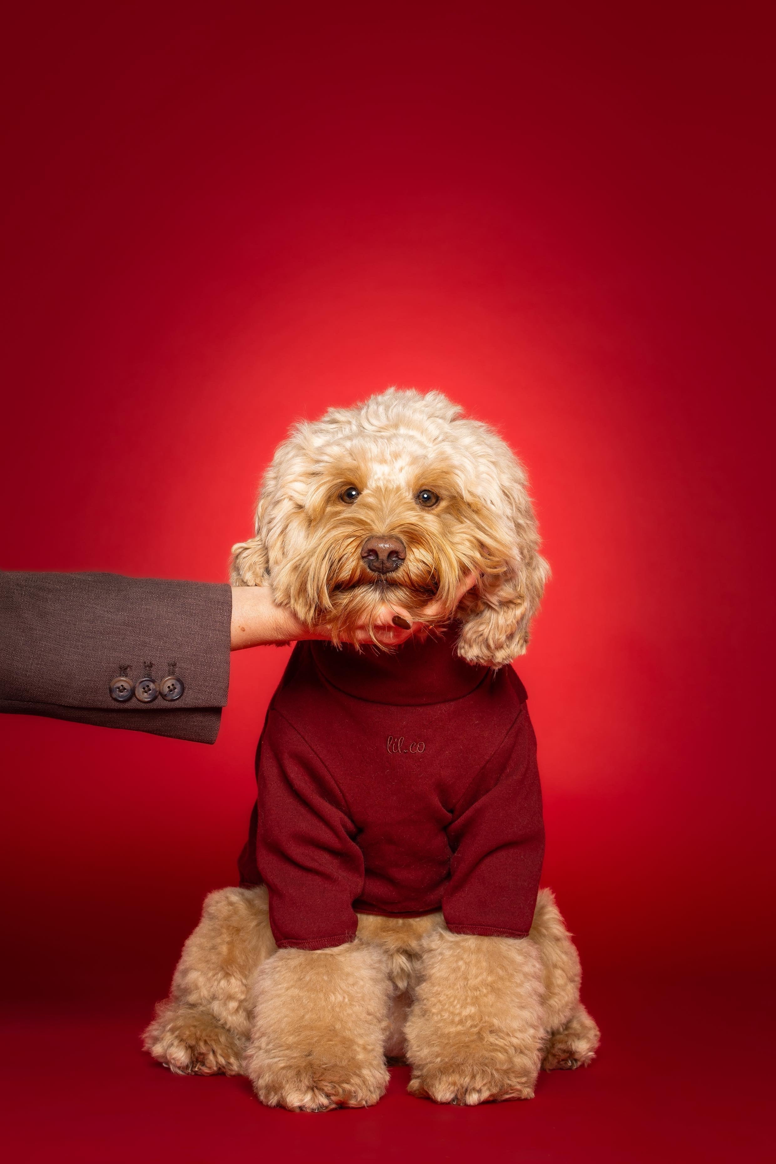 The Heirloom Turtleneck