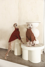 The Heirloom Turtleneck