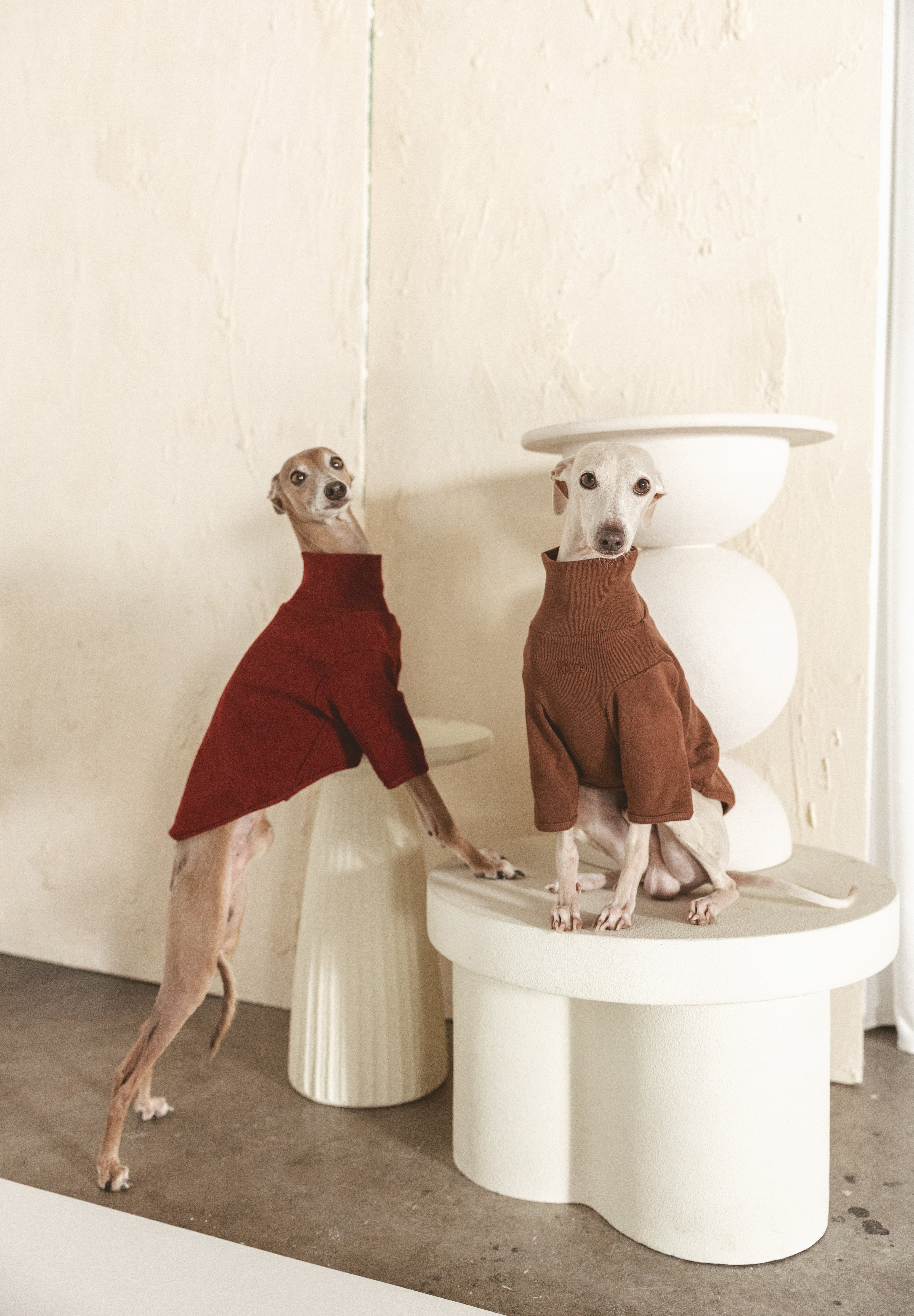 The Heirloom Turtleneck