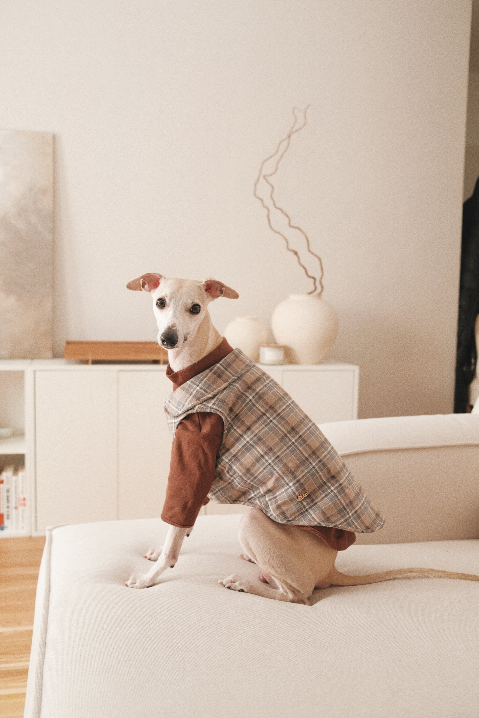 The Heirloom Turtleneck