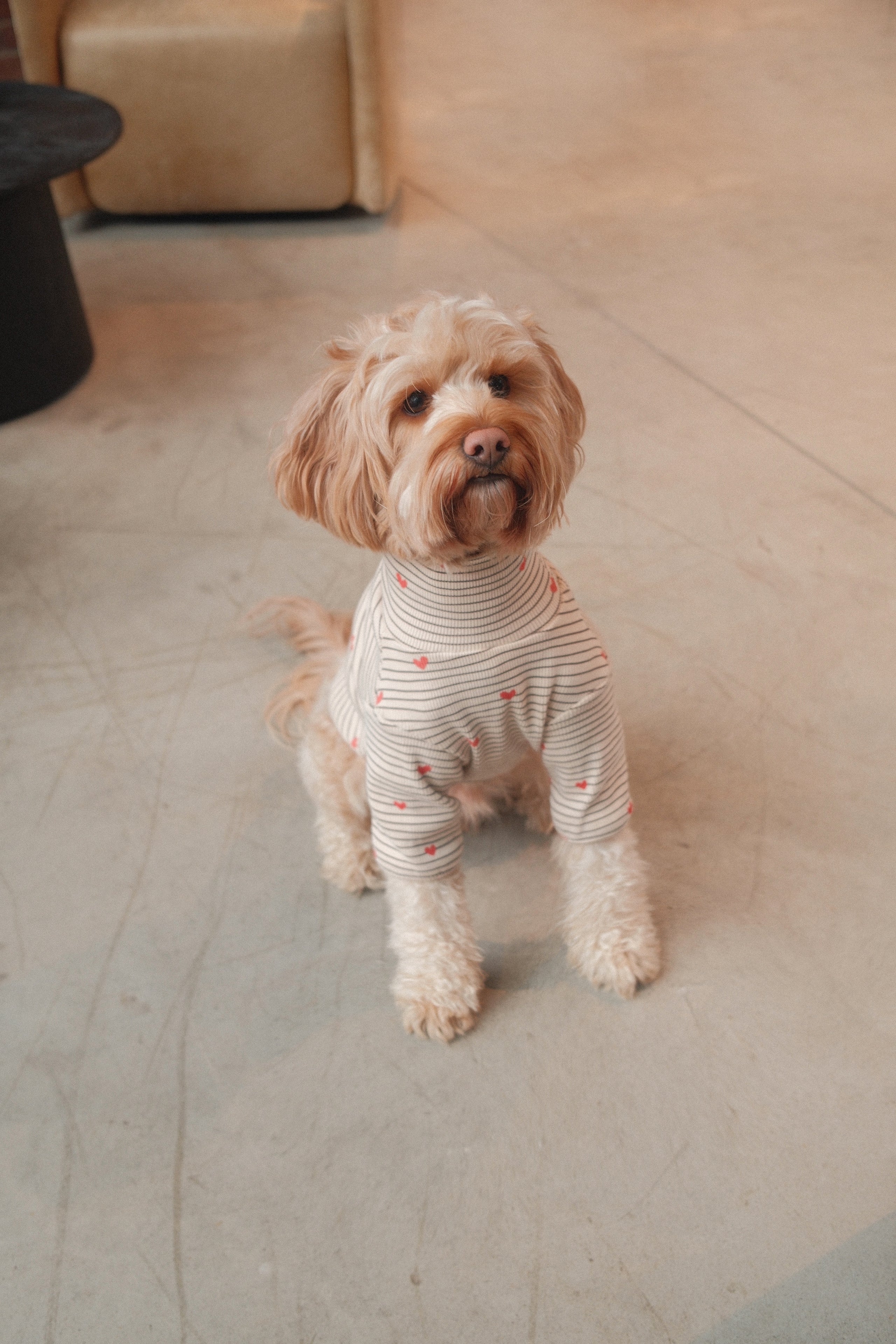 Products – Lilco