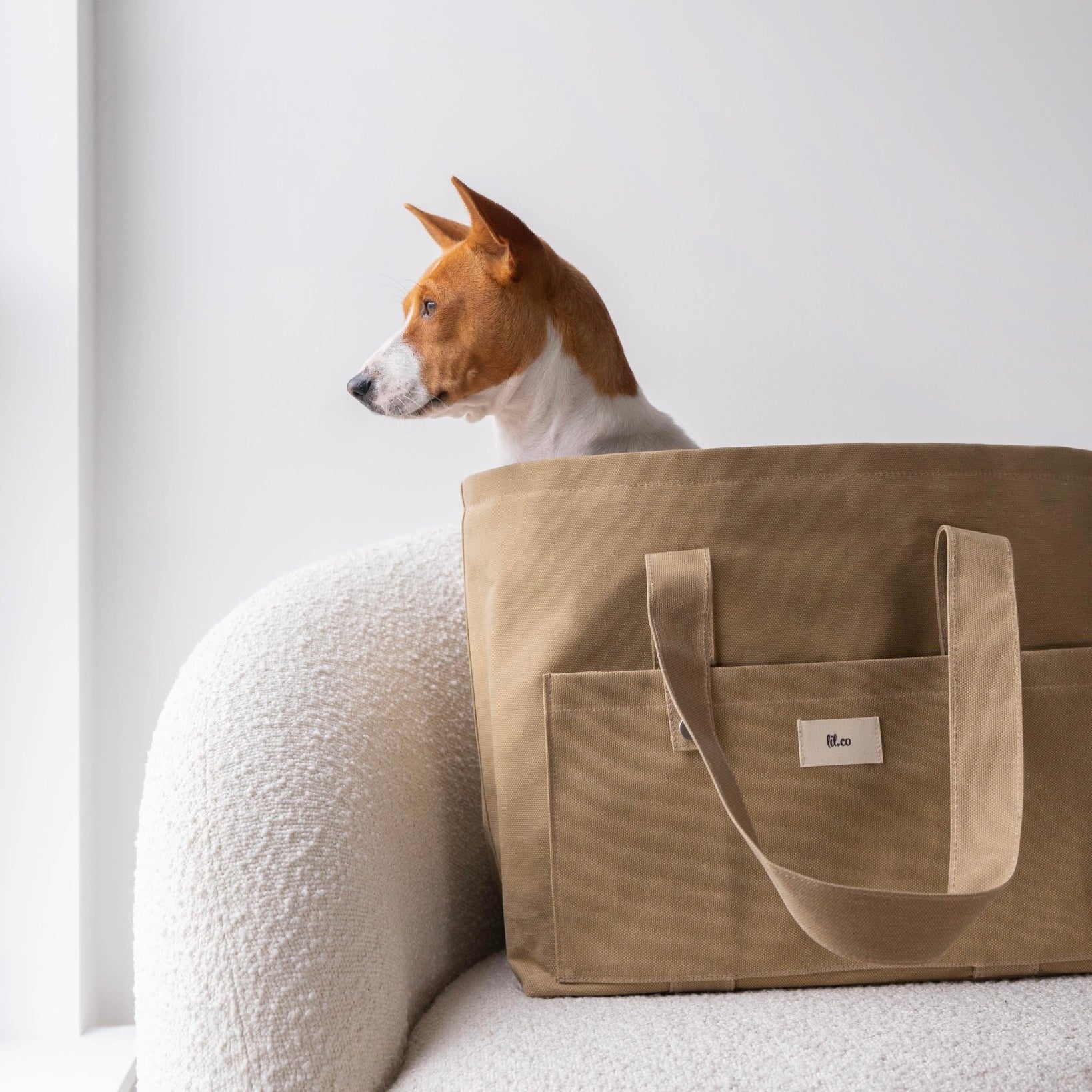 Marlowe Pet Carrier Bag - Lilco