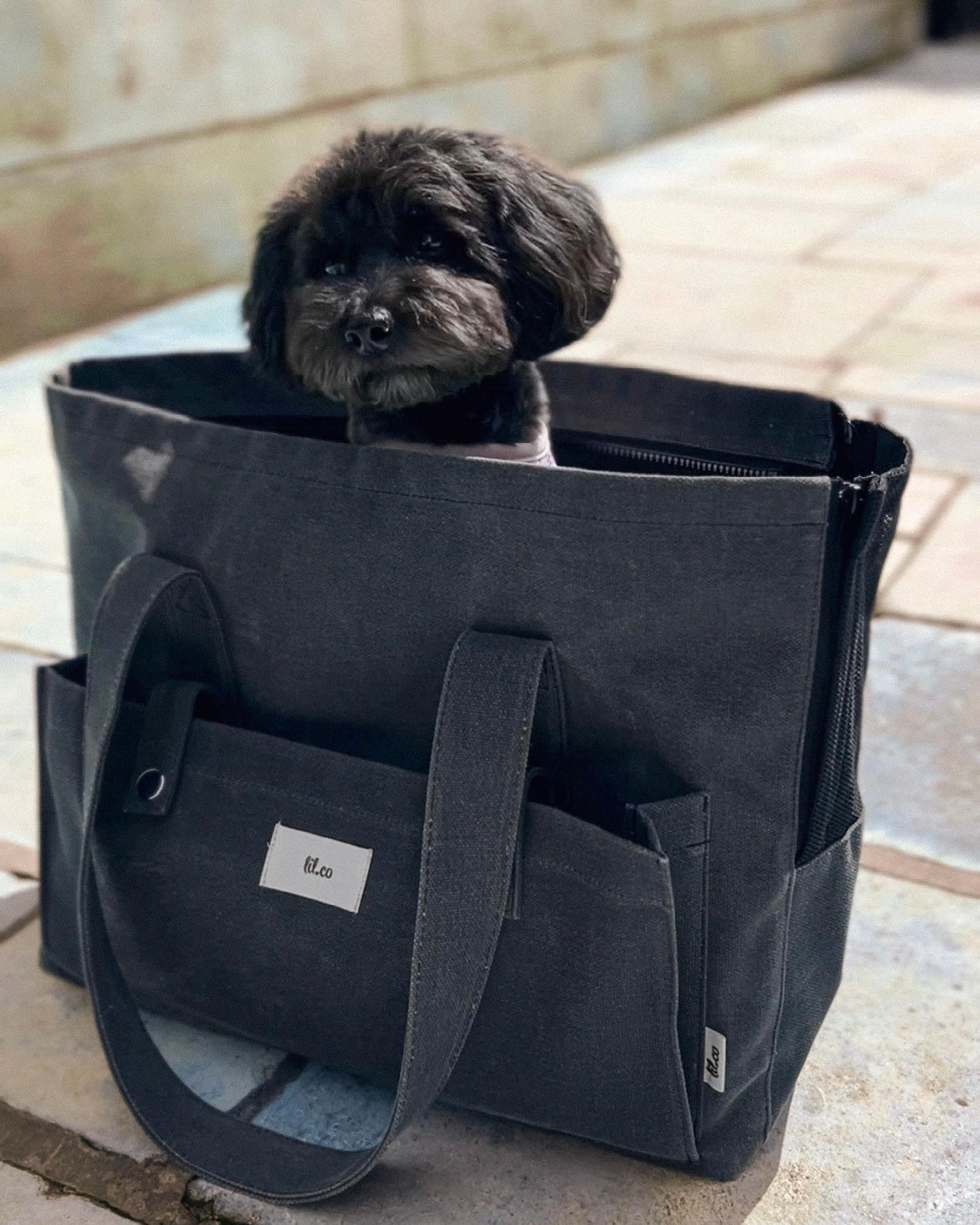 Marlowe Pet Carrier Bag - Lilco